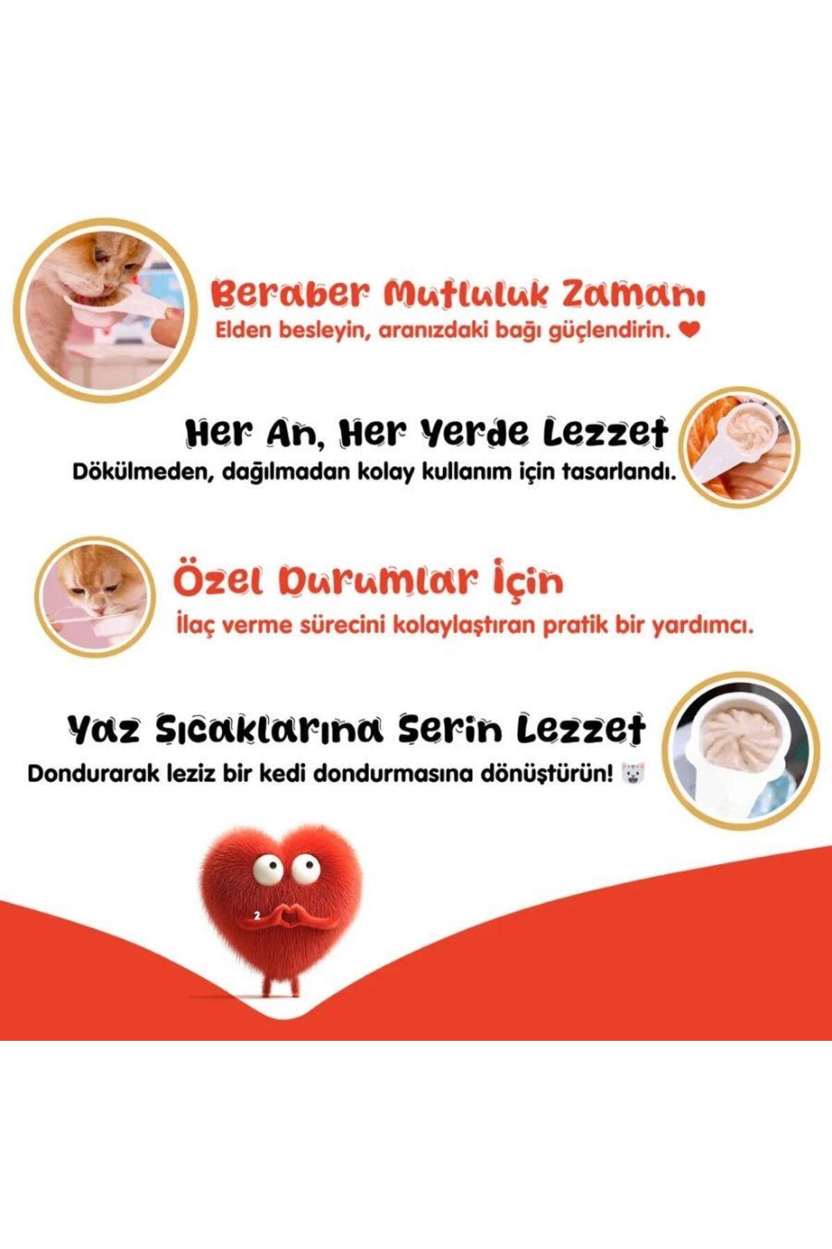 Wanpy Somonlu Kaşık Krema Kedi Ödül Maması 10x16 gr - Görsel 3