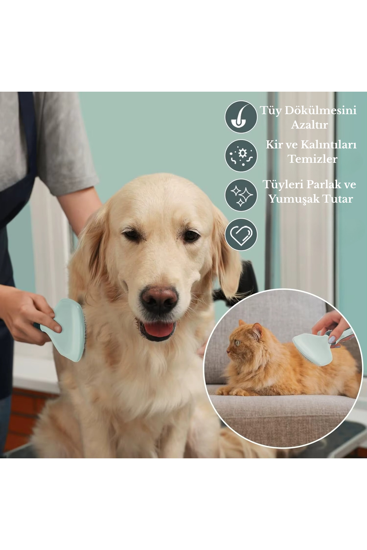 GreaTech 8 Parça Evcil Hayvan Tarak Makas Seti Kedi ve Köpek Bakım Makası Banyo Fırçası Su Kasesi - Görsel 3