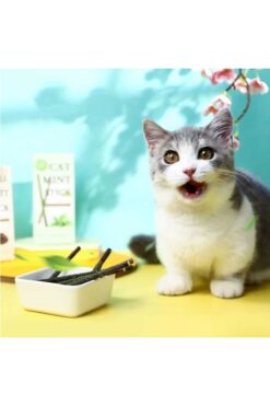 Dalian Home Catnipli Matatabi Stick - Diş Temizlemeye Ve Stres Gidermeye Yardımcı Doğal Oyuncak