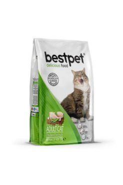 Bestpet Tavuklu Pirinçli Yetişkin Kedi Maması Yetişkin (1 - 7 Yaş)-15 Kg-Hayır