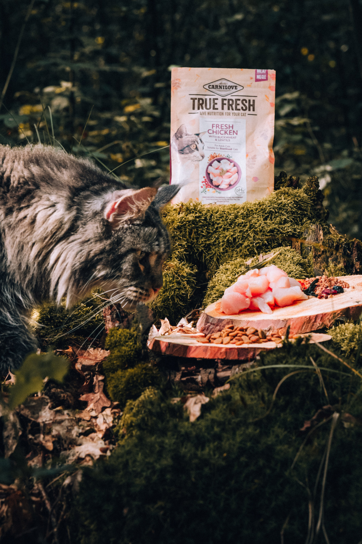 Carnilove True Fresh Tavuklu Tahılsız Yetişkin Kediler Için 1.8kg (KISIRLAŞTIRILMIŞ) - Görsel 2