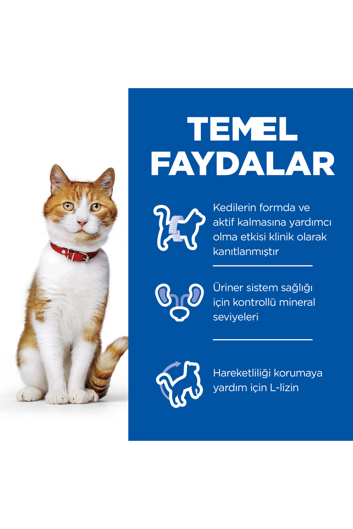 Hill's SCIENCE PLAN Ördekli Kısırlaştırılmış Yetişkin Kedi Maması 10 Kg - Görsel 3