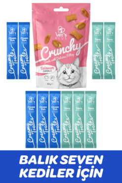 Vet's Plus Balıklı Krema ve Çıtır Karışık Kedi Ödül Maması Paketi (10 Adet 14g Krema, 1 Adet 60g Çıtır Ödül)