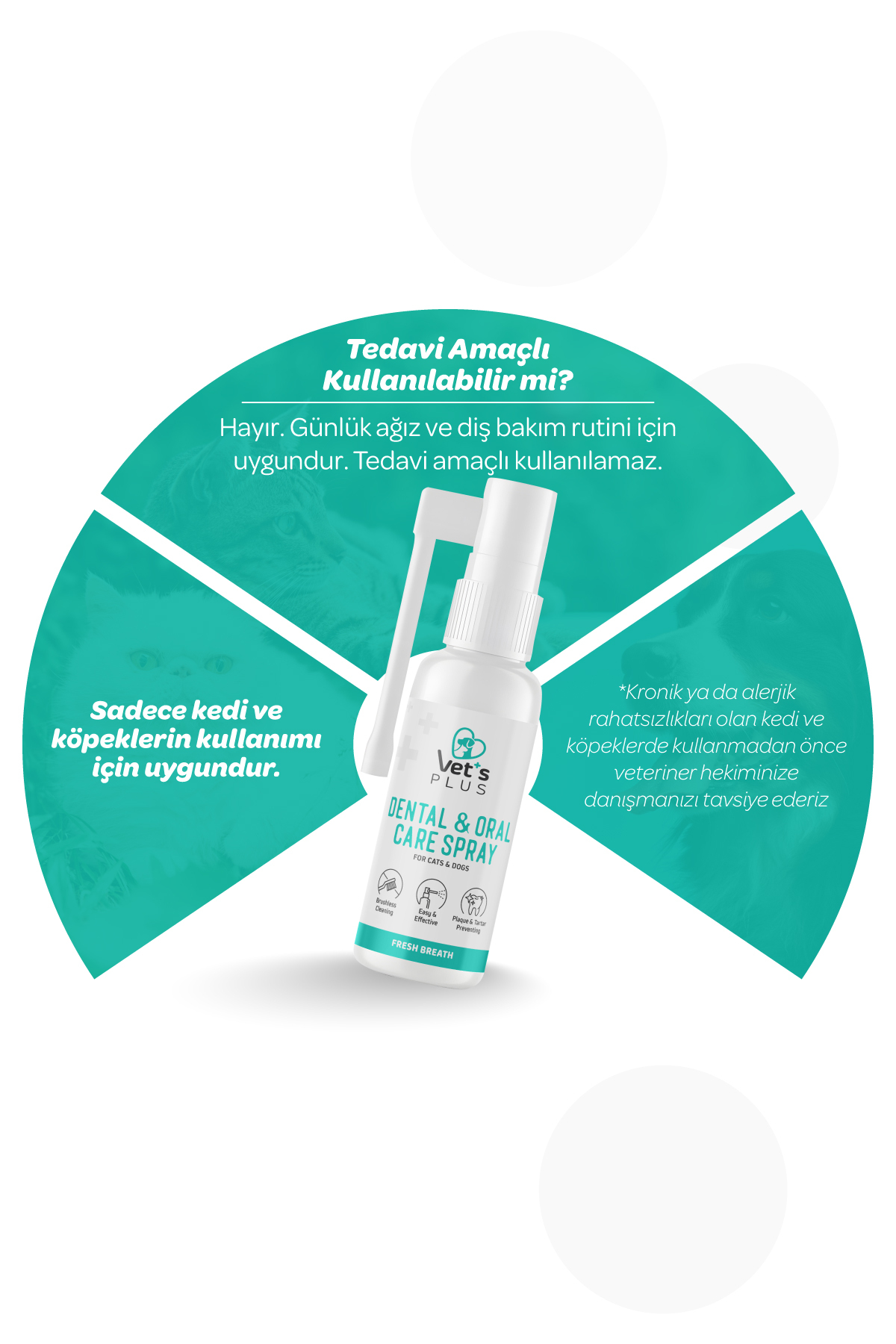 Vet's Plus Diş ve Ağız Bakım Spreyi 50ml (Kedi ve Köpekler için) - Görsel 3
