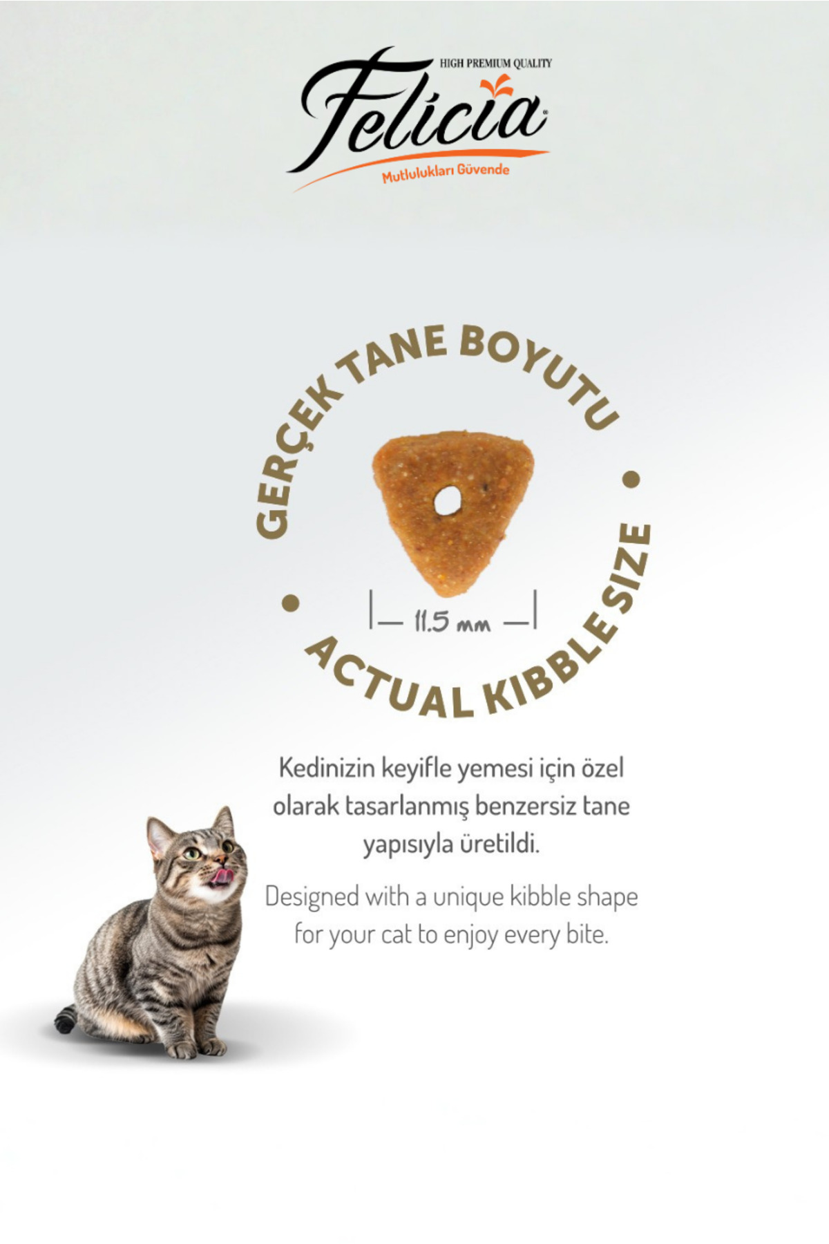 Felicia 5 kg Somonlu Düşük Tahıllı Yetişkin Kısır Kedi Maması 25li Kedi Ödülü Krema 15li Lolipop - Görsel 3
