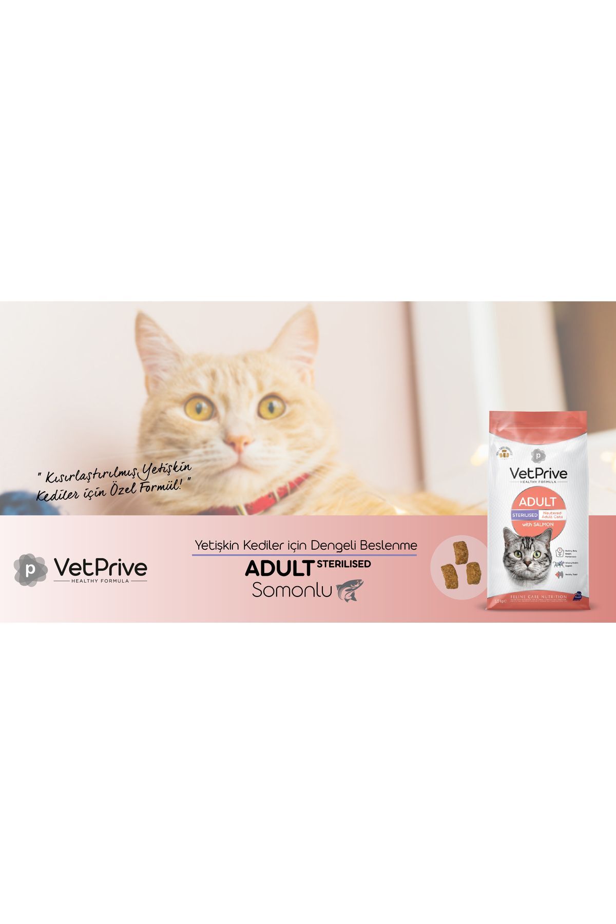 VetPrive Vet Prive Kısırlaştırılmış Kedi Maması Somonlu 1,5 Kg - Görsel 2