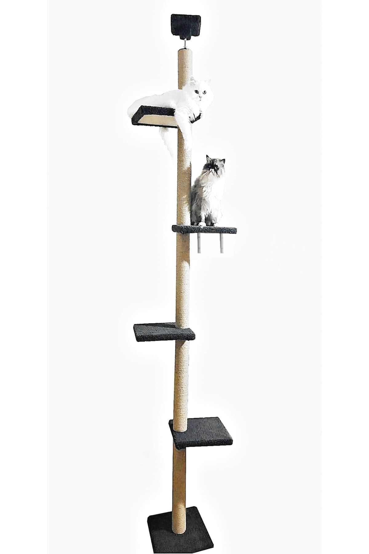 Turkuaz Tırmalama Tr2001 Turkuaz Tırmalama Tavan Boyu Kule Kedi Evi Tırmalama - Görsel 3