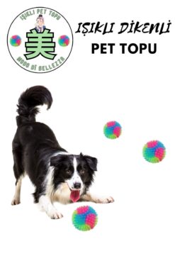 Modo Di Bellezza Işıklı Köpek Topu Karanlıkta Parlayan Kediler, Köpekler için İnteraktif Evcil Hayvan Oyuncağı