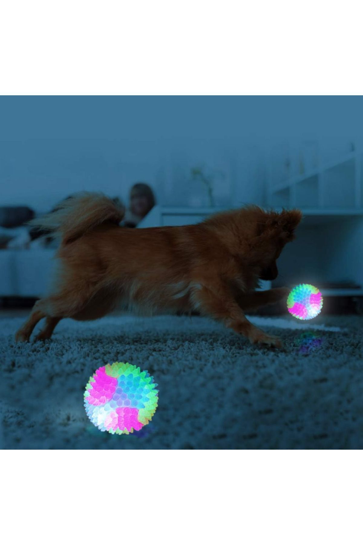 Modo Di Bellezza Işıklı Köpek Topu Karanlıkta Parlayan Kediler, Köpekler için İnteraktif Evcil Hayvan Oyuncağı - Görsel 3