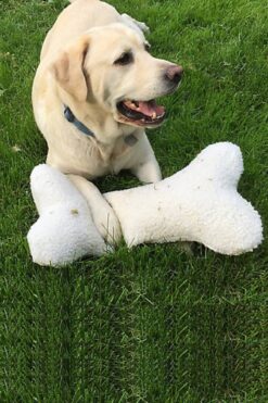 Bundeba Osso Büyük Boy Köpek Stres Dişleme Çekiştirme Yastık Oyuncağı Köpek Oyun Yastığı 40x20cm