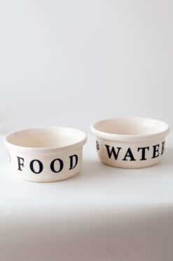 Petbucks Pet Accessories Kedi Ve Köpek Seramik Ikili Mama Su Kabı