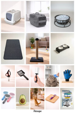 Petscape Kedi Başlangıç Seti | Eksiksiz, Temel ve Gerekli Tüm Kedi İhtiyaçları-İdeal Kedi Bakım Seti