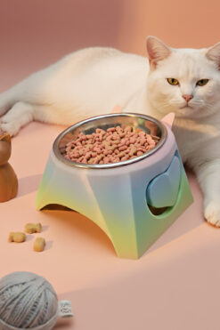 Genel Markalar Luci Yüksek Ayaklı Kedi Mama Kabı - Boyun Koruyucu Eğik Tasarım - Anti-Stres Metal Kase