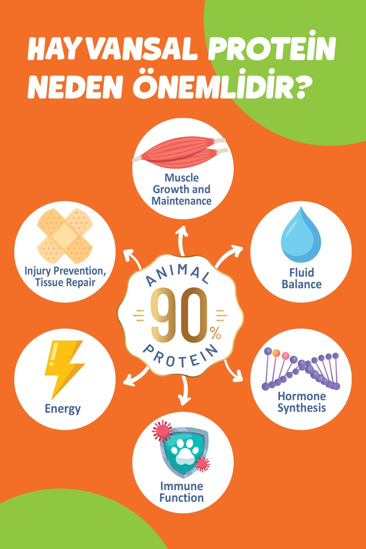 Solomon Kısırlaştırılmış Somon'lu Süper Premium Kedi Maması 1,5 Kg - Hipoalerjenik - Düşük Tahıllı - Görsel 3