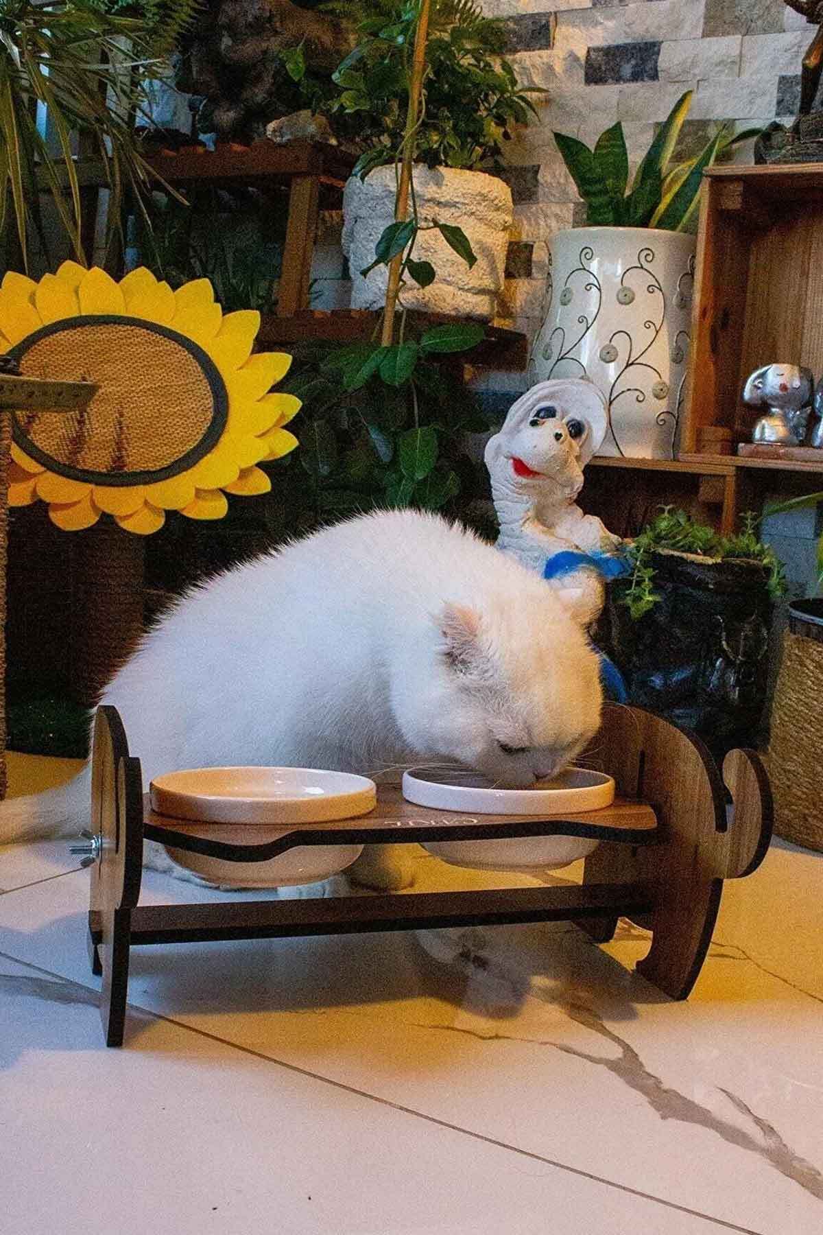 GOBYPET Ahşap Kedi Mama Seramik Su Kabı Standı,Kedili Mama Kabı, Hediye Kedi Halısı - Görsel 2