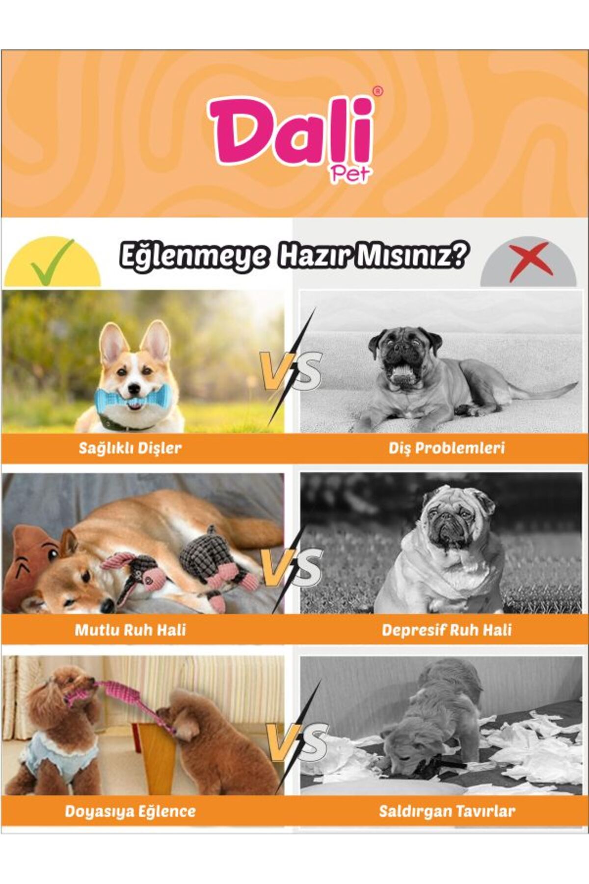 Dalipet Köpek oyuncakları Kumaş,Peluş,Dış Sağlığında Etkili, İçi Dolgun 7 Farklı Desen ve Renk Oyuncaklar - Görsel 2