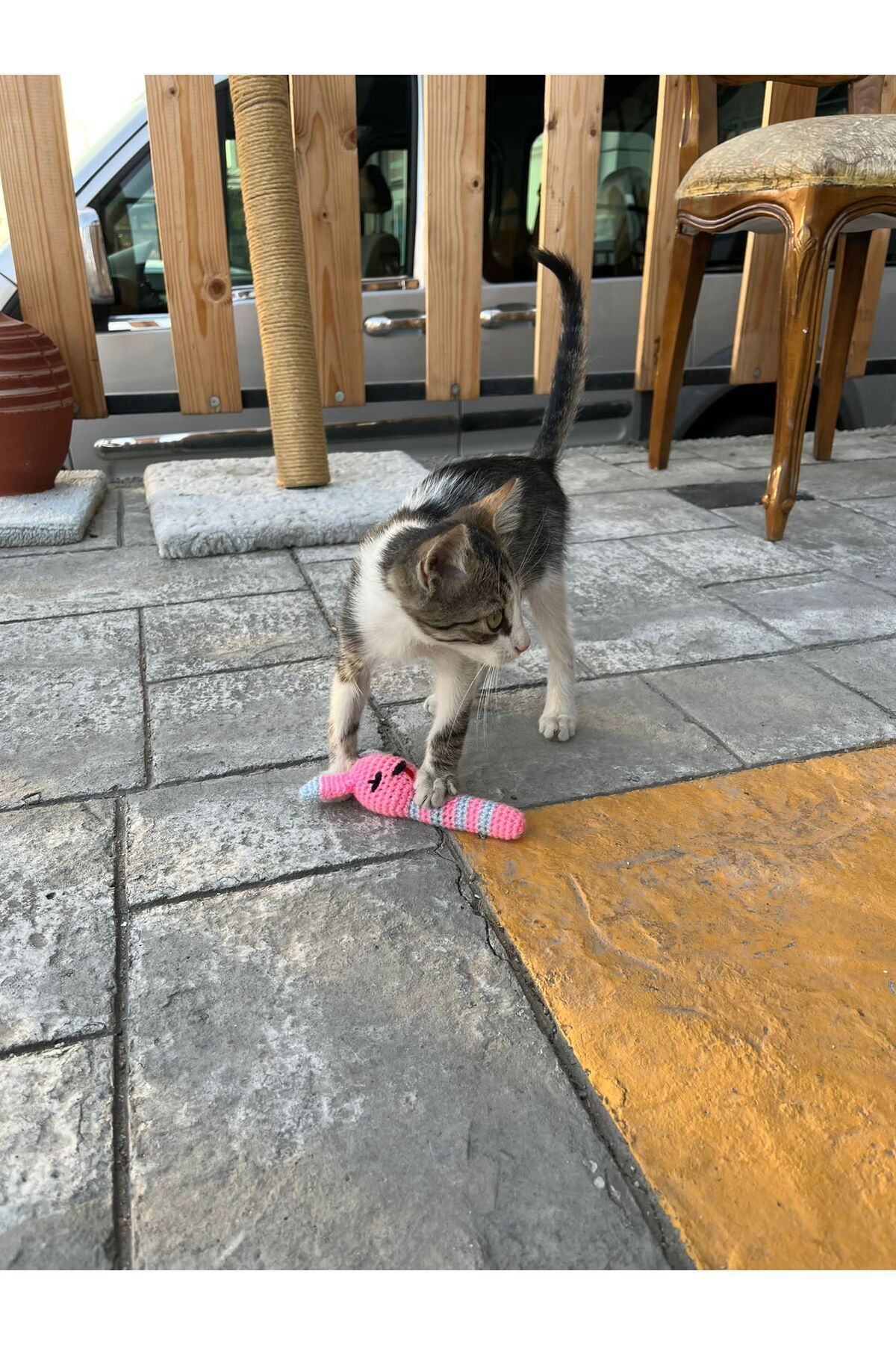 Be Cat Catnıpli Kedi & Köpek Tavşan Diş Kaşıma Oyuncağı & Pet Stres Ve Isırma Oyuncağı - Görsel 3