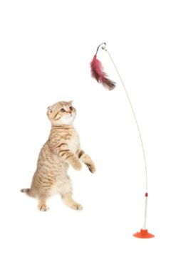 TİNEKE YENİ VANTUZLU 90 CM OLTA