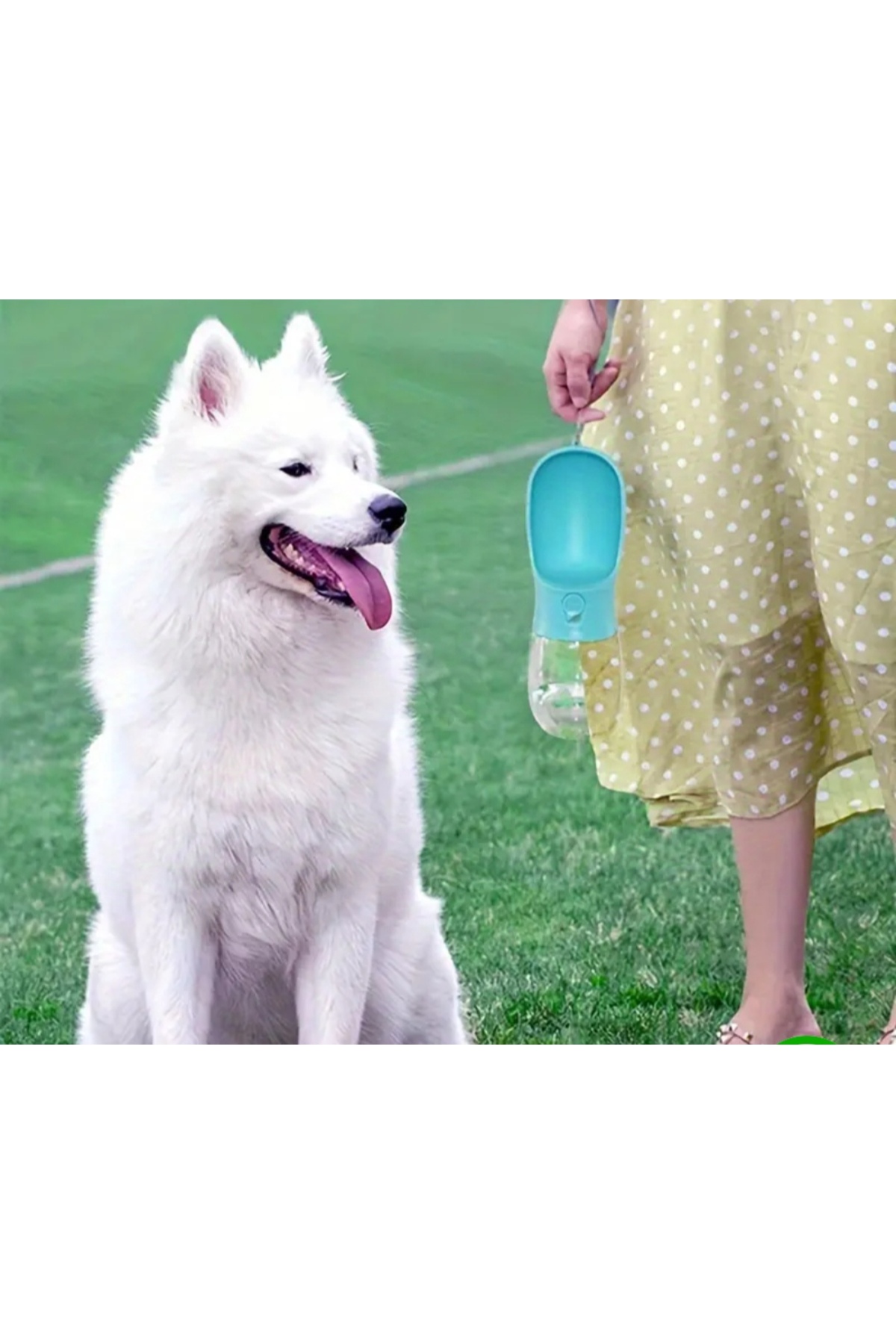 TRİPULAM 350 ml Taşınabilir Kilitlenebilir Seyahat Suluk – Evcil Hayvanlar İçin Sızdırmaz Su Kabı Suluğu - Görsel 2