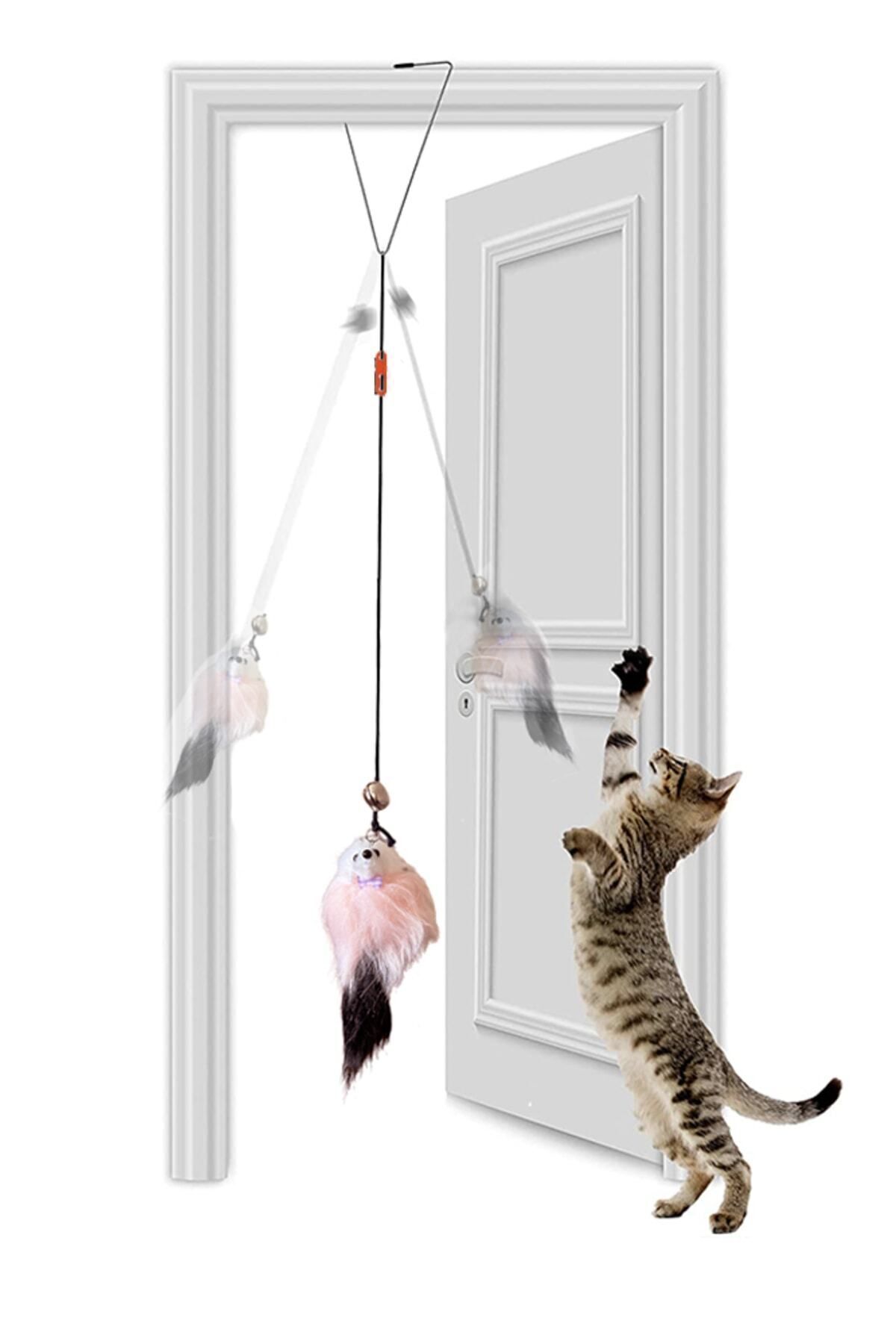 Petish Kapı Çerçeve Askılı Çıngıraklı Kedi Oyuncağı
