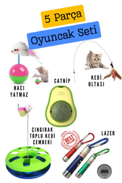 ego home 5 Parça Kedi Oyuncak Seti Oyun-Eğlence Seti Kedi Oyun Seti Çember-Lazer-Hacı Yatmaz-Catnip-Olta