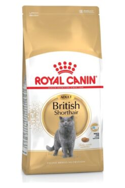 Royal Canin British Shorthair Adult Yetişkin Kedi Maması 400 gr