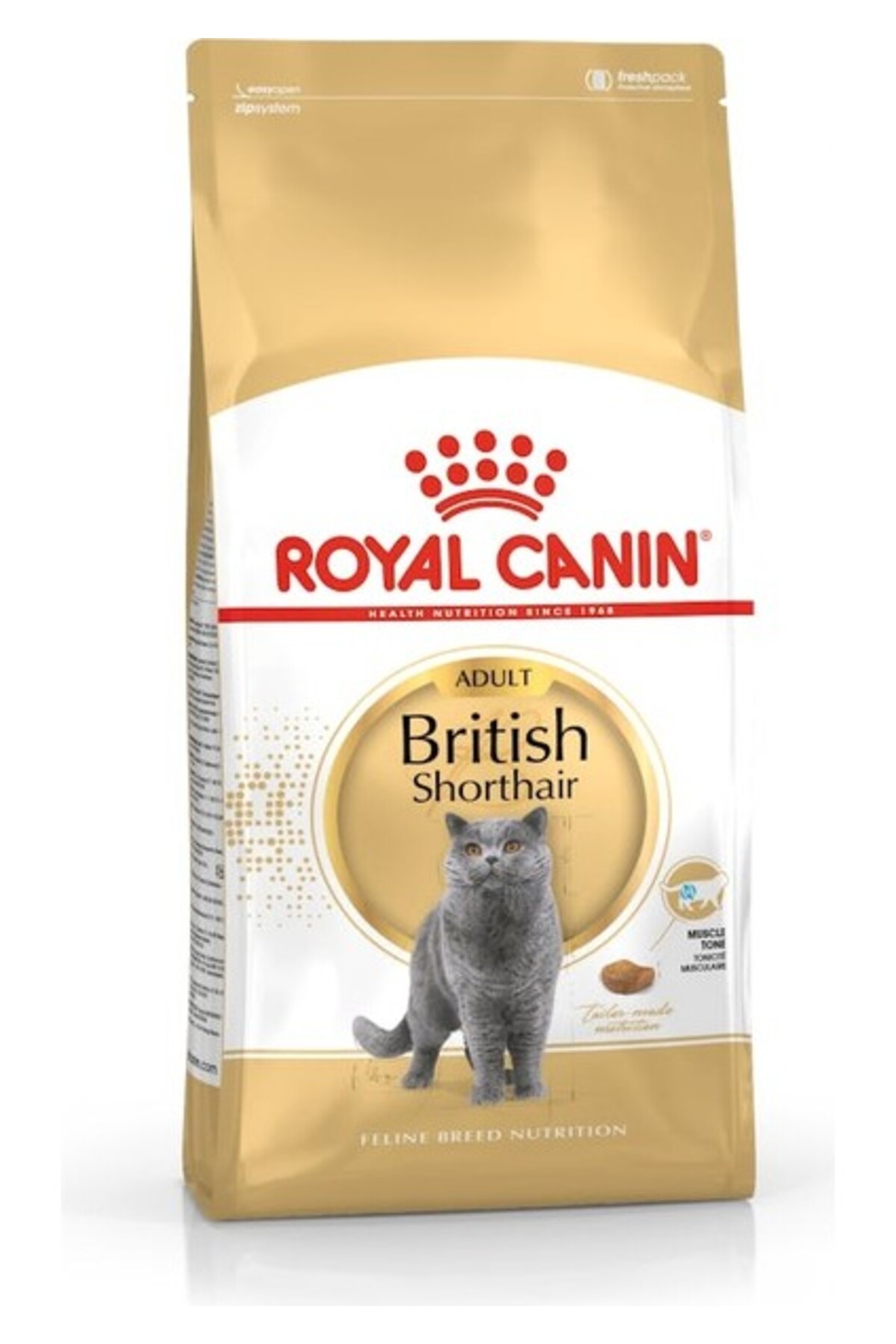Royal Canin British Shorthair Adult Yetişkin Kedi Maması 400 gr - Görsel 2