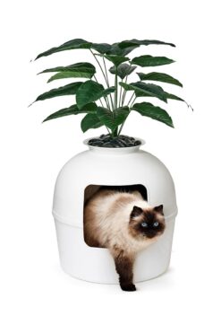 Petozi Dekoratif Kedi Tuvaleti & Evi