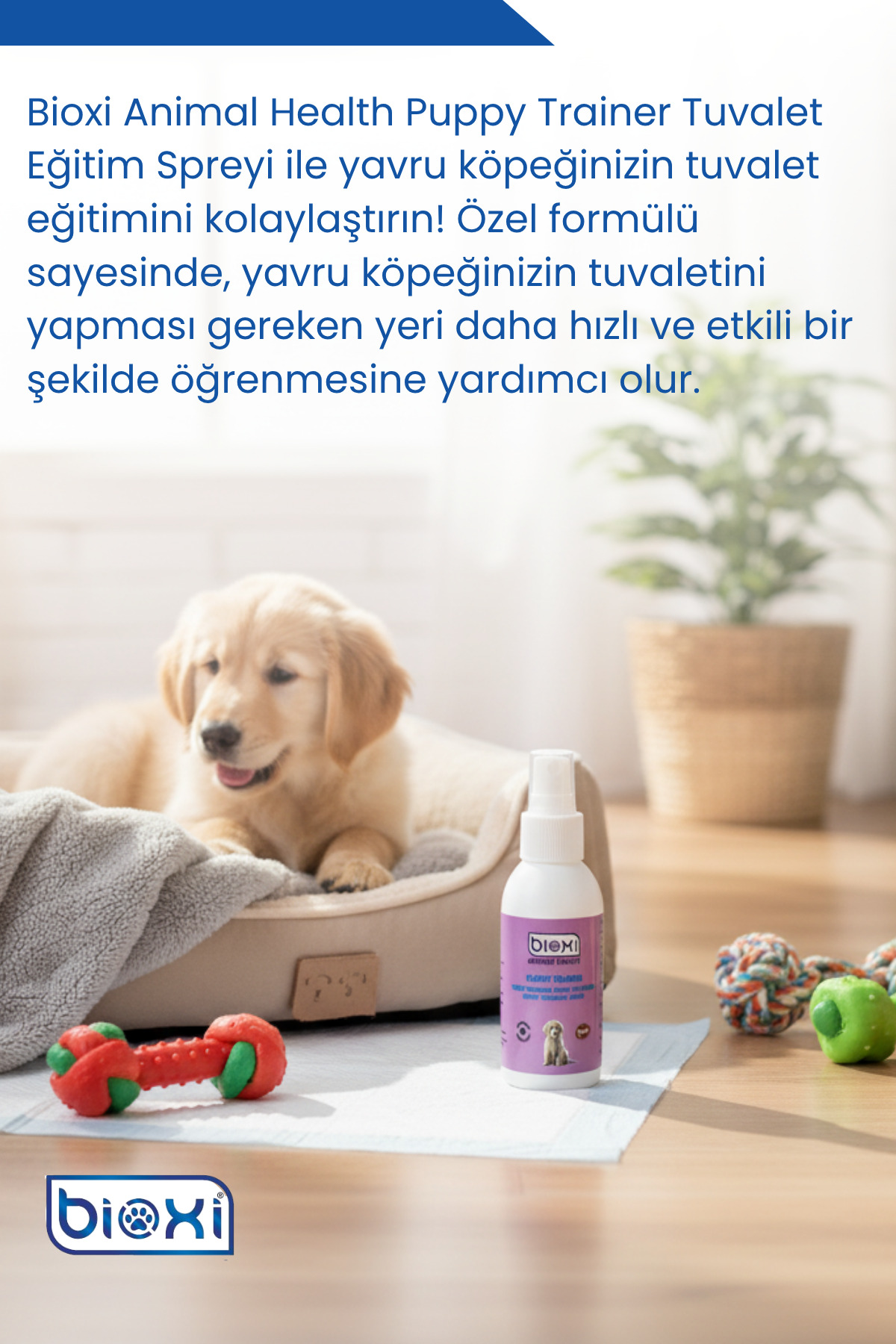 Bioxi Yavru Köpek Tuvalet Eğitim Spreyi, Ped Alıştırma Sıvısı, Puppy Trainer 100 ml - Görsel 3