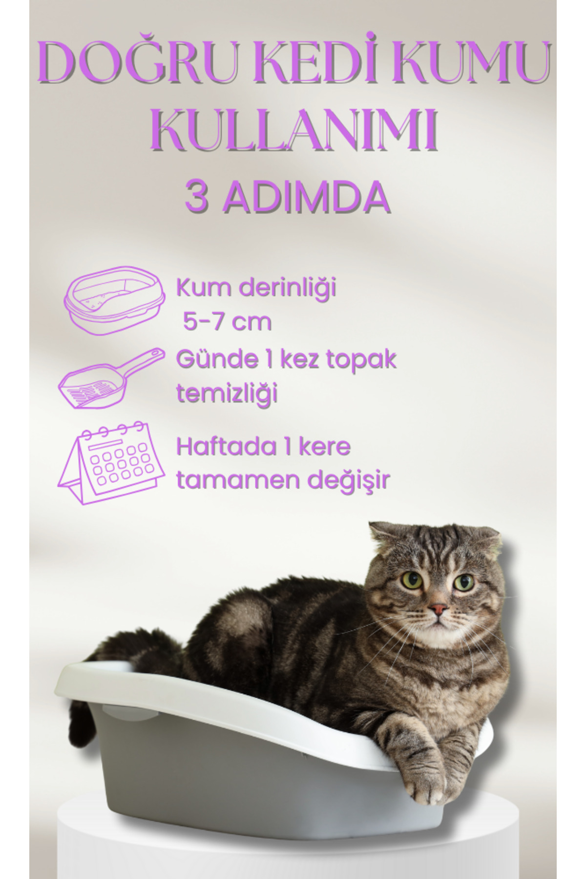 Genel Markalar Trail 20 Lt Ince Tane Lavanta Kokulu Beyaz Bentonit Kedi Kumu - Görsel 3