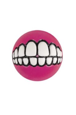 Rogz Toyz Grinz Köpek Diş Oyuncağı Medium Pembe 6,4 Cm