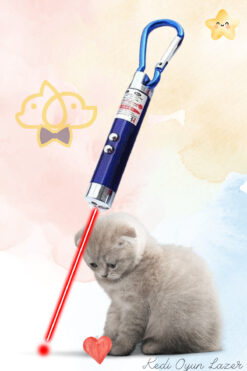 PawX 3 Fonksiyonlu Kedi Köpek Lazer Oyuncağı 1 Adet – LED Işıklı Anahtarlık Lazer Oyuncak