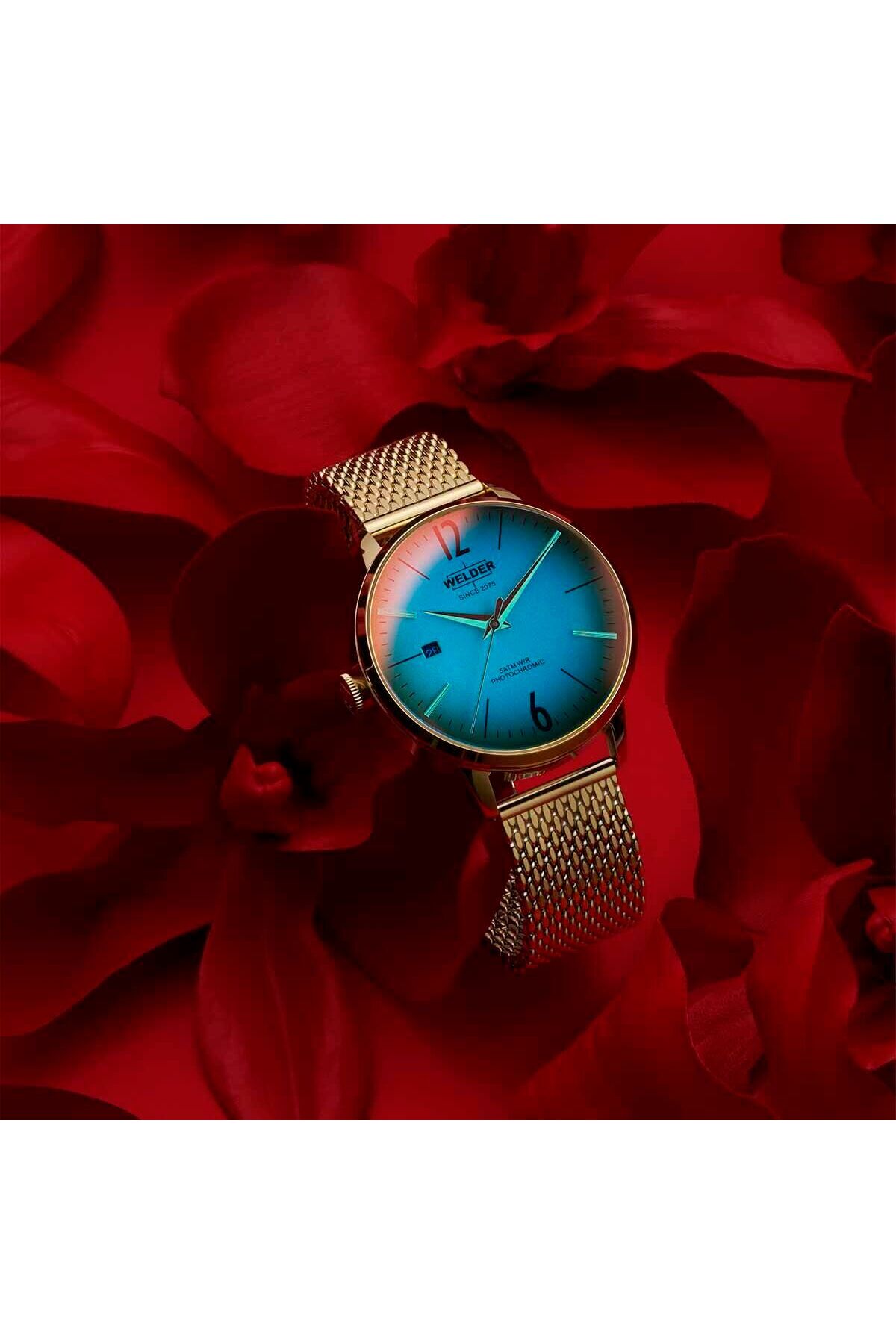 Welder WRC624 38 mm Kadın Kol Saati - Görsel 2