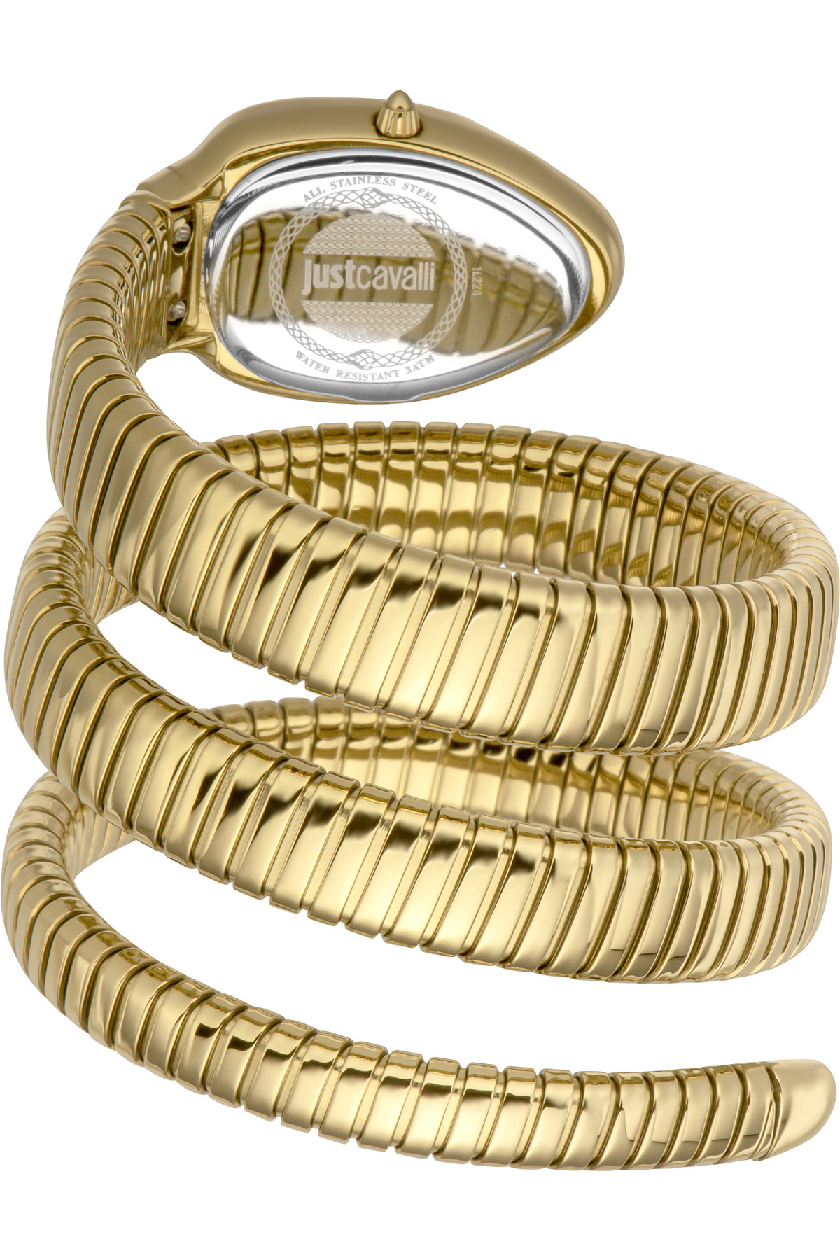 Just Cavalli JC1L224M0045 Kadın Kol Saati - Görsel 2