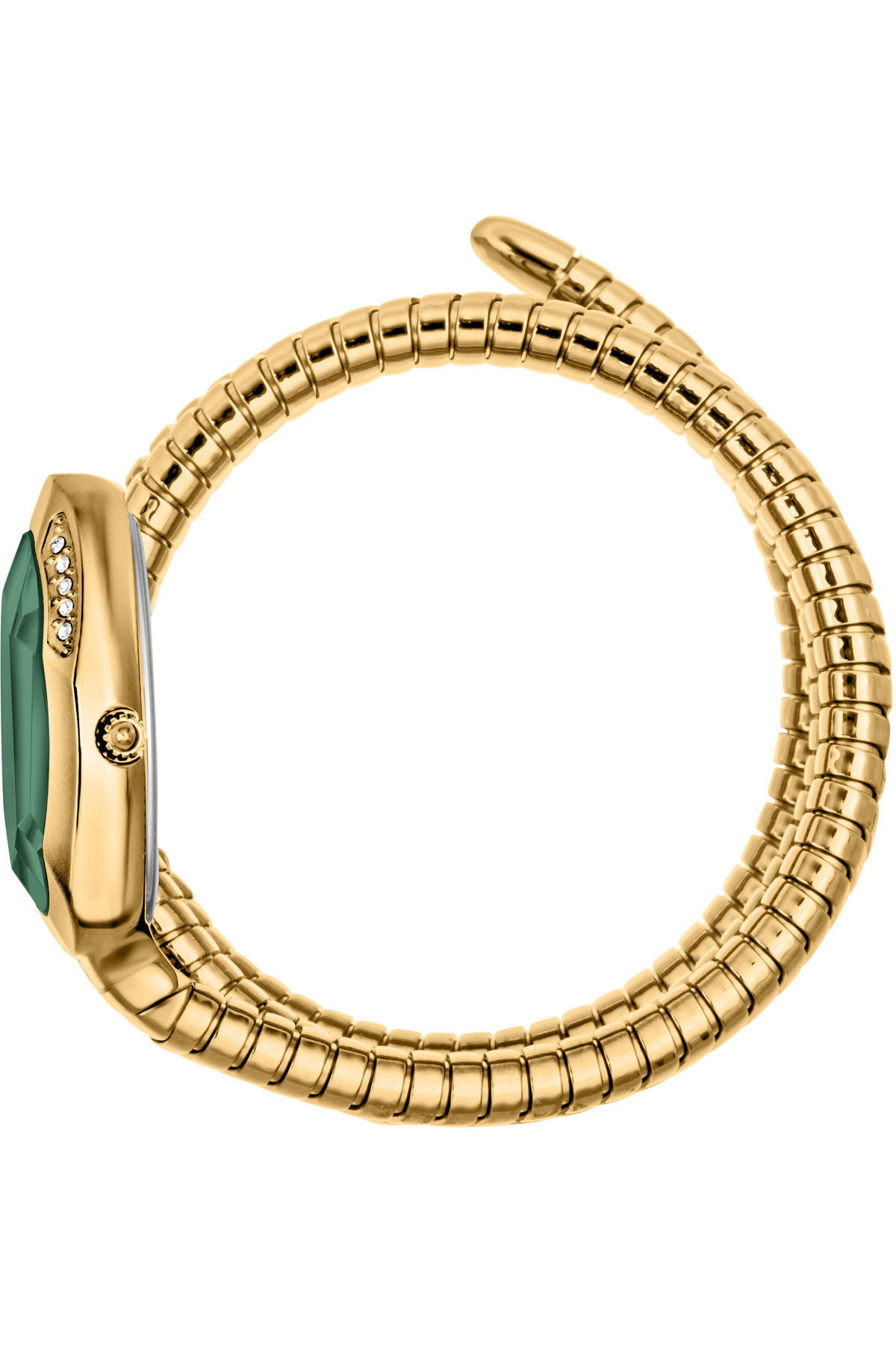 Just Cavalli JC1L224M0045 Kadın Kol Saati - Görsel 3