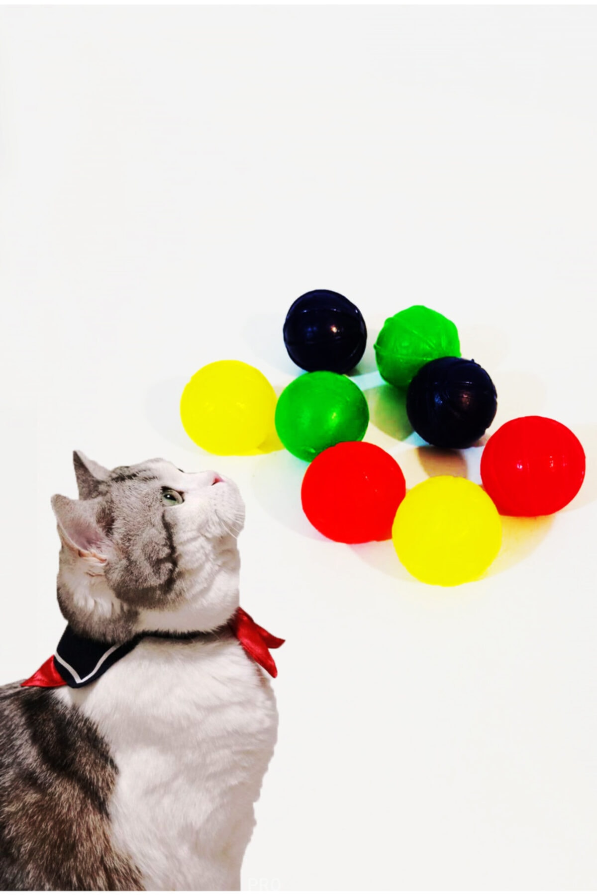 HEKİM PET Ziplayan Top 3.5 Cm Karişik Renkli 1 Adet Kedi Ve Köpek Için Uygundur. - Görsel 2