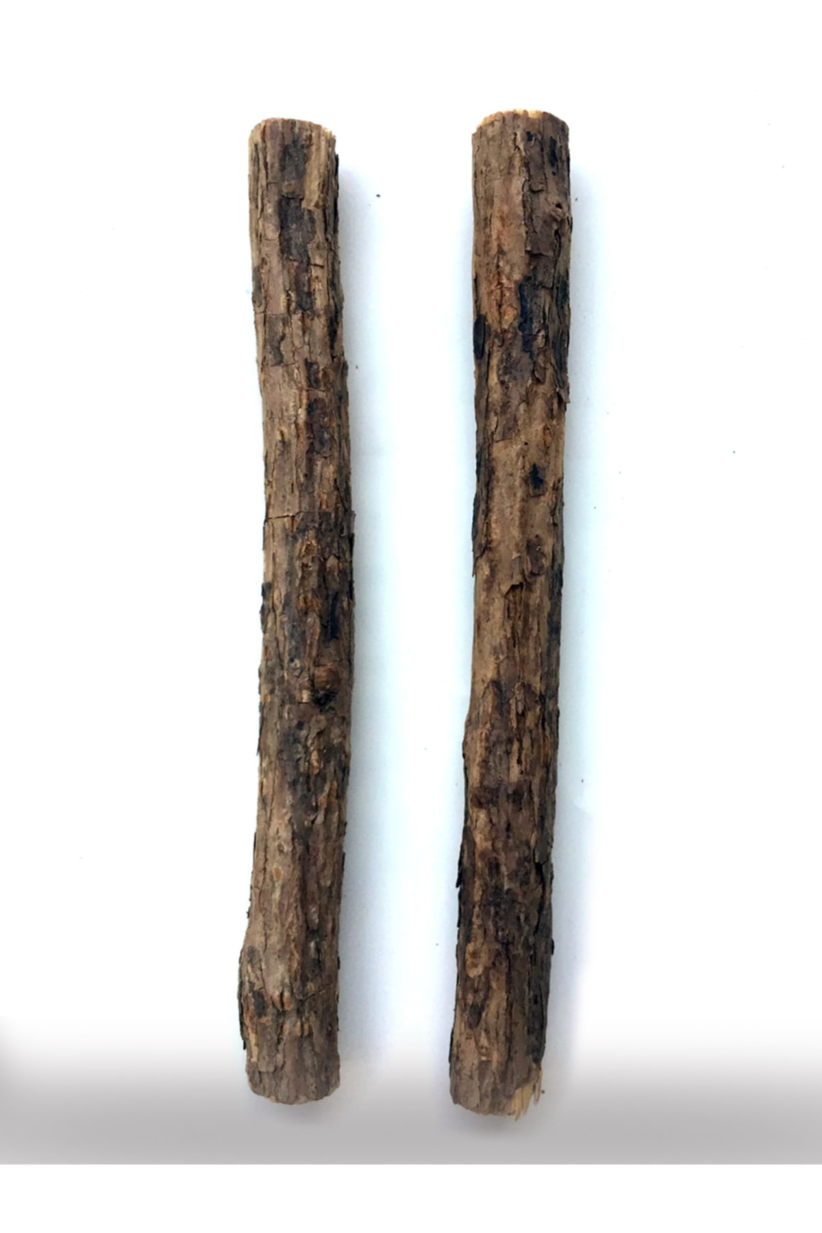 MATATABİ CATS Matatabi Stıck Jumbo Doğal Matatabili Kedi Çiğneme Çubuğu 2'li - Görsel 3