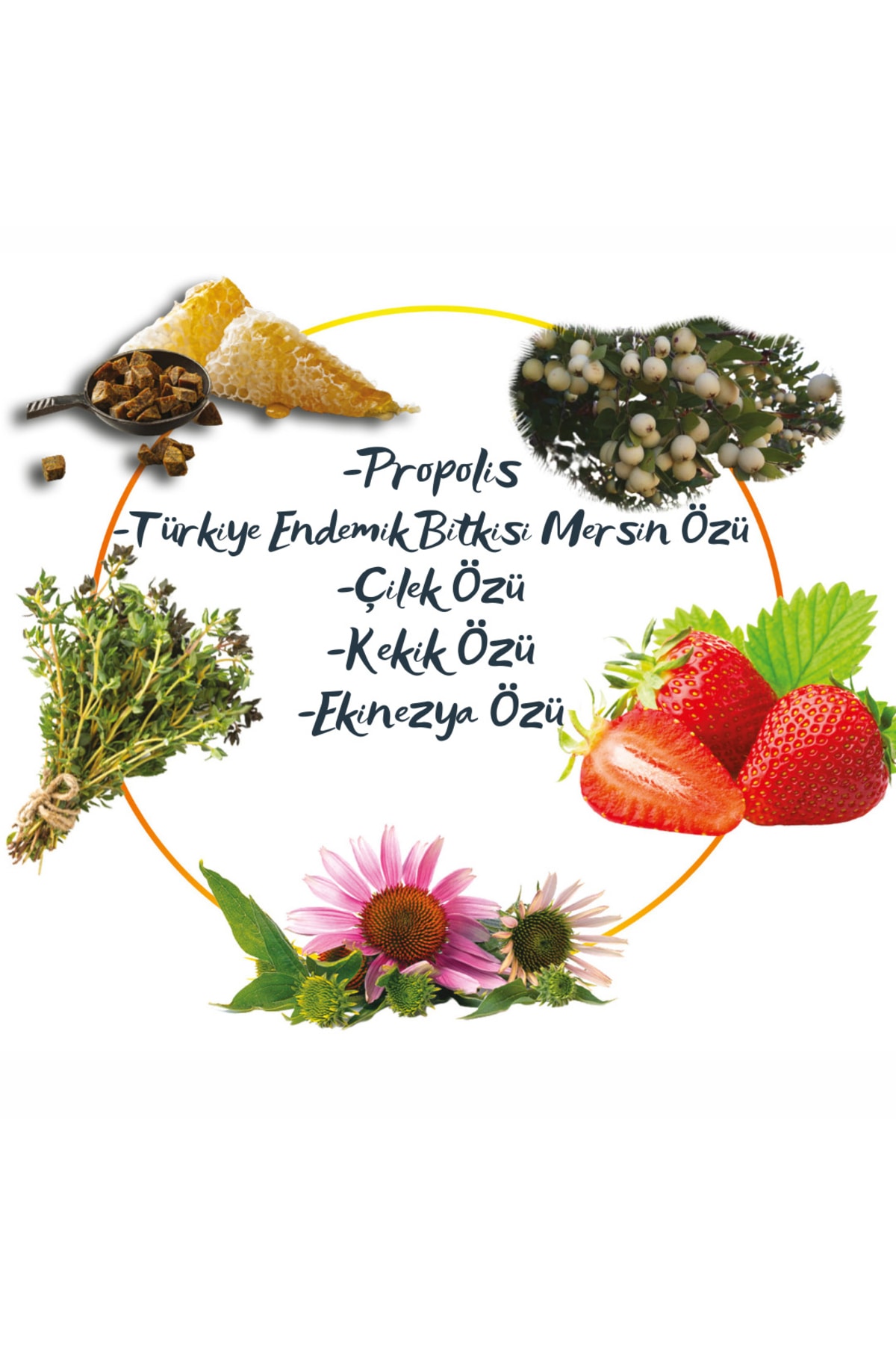 VETUGEN %100 Doğal Aktif Bileşenli Kedi Köpek Diş Macunu + 1 Adet Pembe Kapaklı Parmak Fırça - Görsel 3