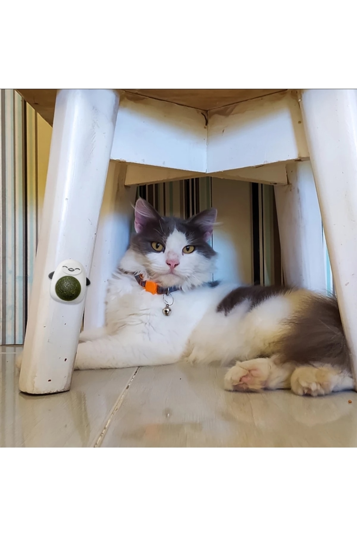 BEYZANA Ayıcıklı Kedi Oyuncağı Sağlıklı Kedi Yalama Oyuncak Iştah Arttırıcı Yavru Çiğneme Catnip Topu - Görsel 3