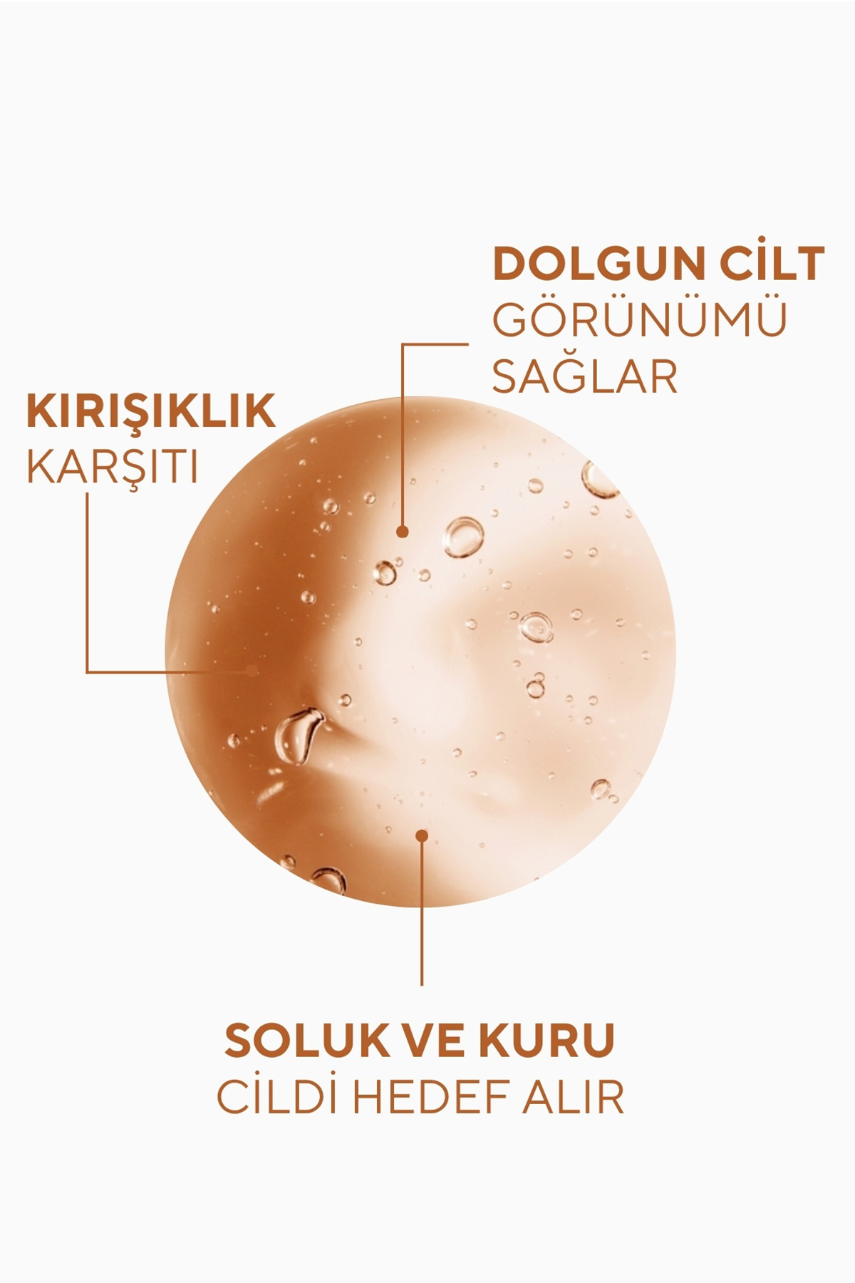 The Ceel Dolgunlaştırıcı ve Sıkılaştırıcı Etkili Kolajen Serum Hydrolyzed Collagen, Glutatyon 30 ml - Görsel 3