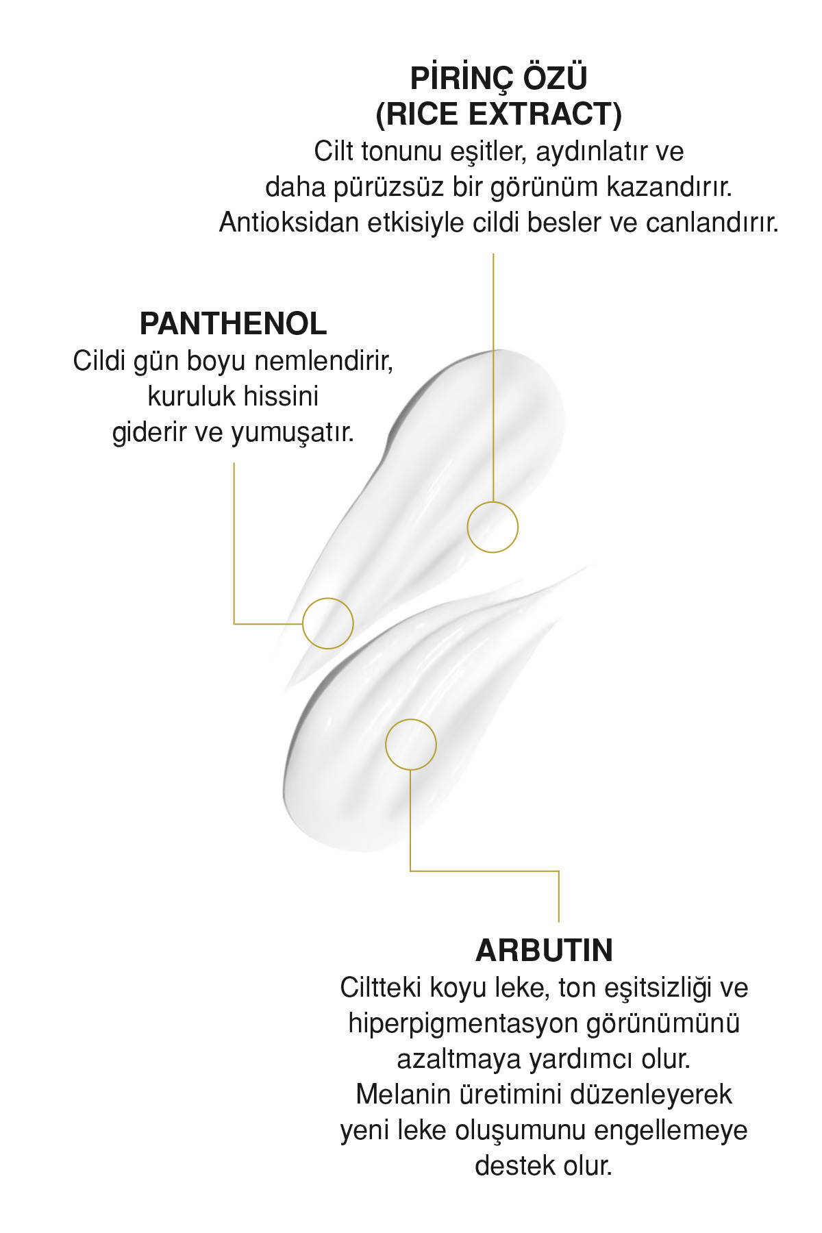 KEATY Pirinç Özlü Cilt Beyazlatıcı Aydınlatıcı Leke Karşıtı Krem | 50ml - Görsel 2