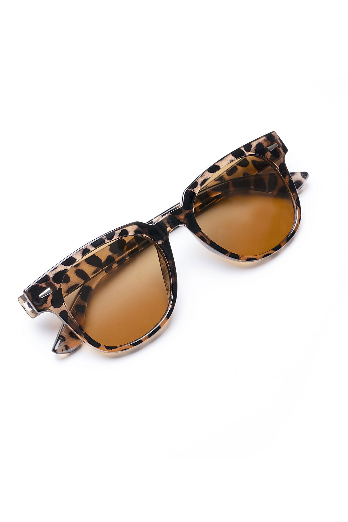 Aqua Di Polo 1987 Kadın Kahverengi Leopar Desenli Güneş Gözlüğü |55 Ekartman - Görsel 3