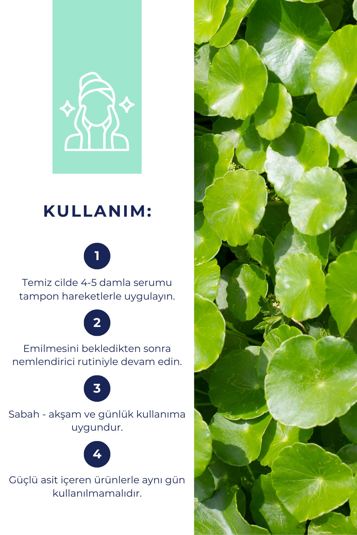 Licape %76 Centella Asiatica Aydınlatıcı Cica Serum 30ml - Görsel 2