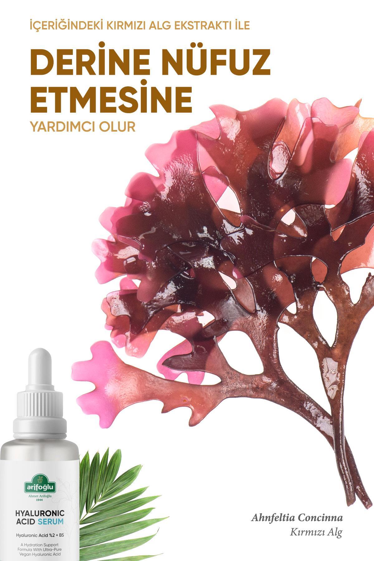 Arifoğlu Hyaluronic Acid Serum 30 ml (Nemlendirici Canlandırıcı Dolgunlaştırıcı) Hyaluronıc Acid %2 - Görsel 3