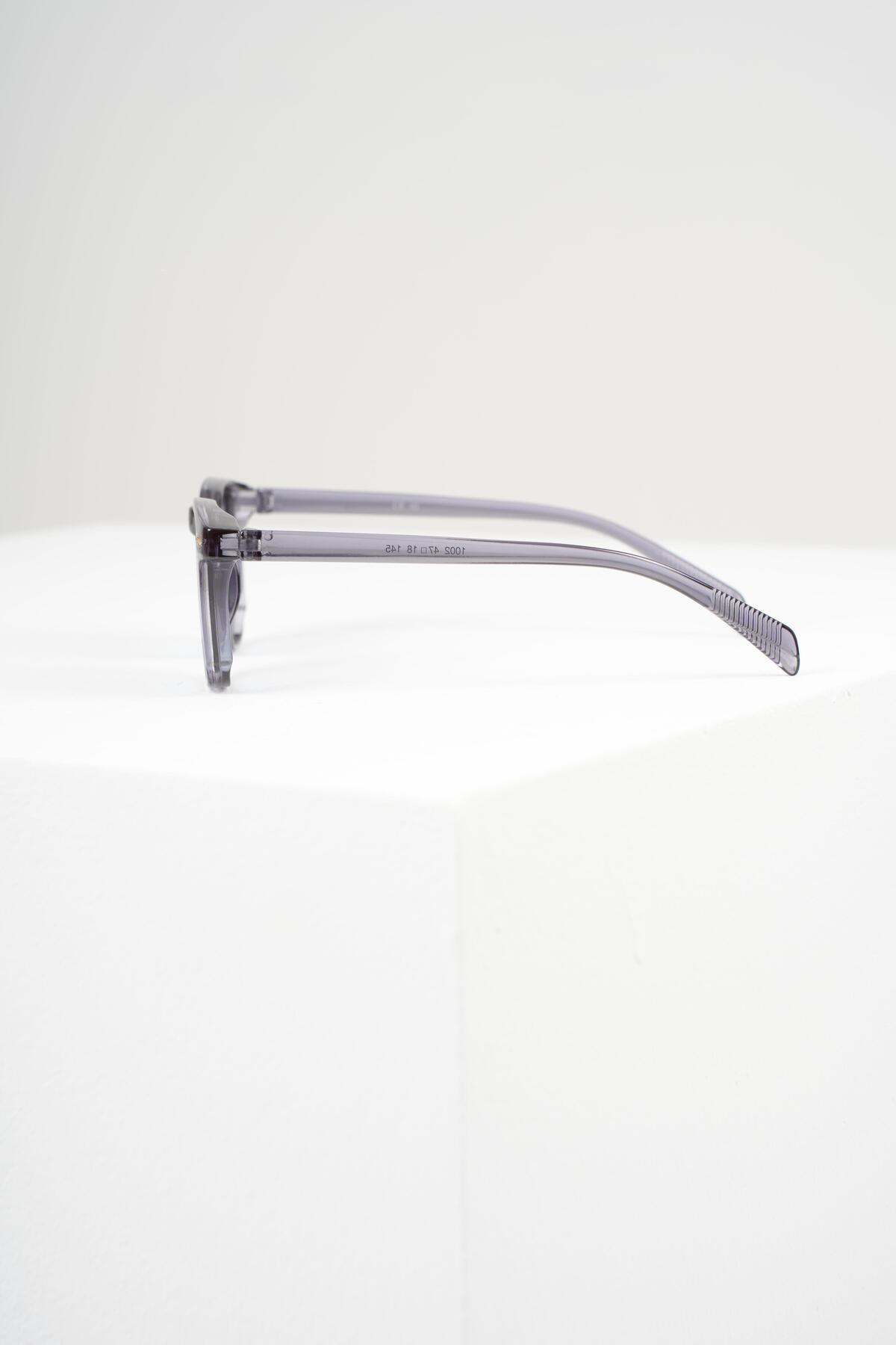 WATCHOFROYAL ROYAL EYEWEAR RE982 GRİ MAVİ GÜNEŞ GÖZLÜĞÜ - Görsel 3