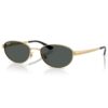 Ray-Ban Ray Ban RB3774D 001/87 55 güneş gözlüğü