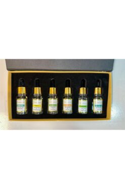 DR MESOMASTER Somon Dna, Vitamin C, Hyaluronic Asid, Hair and Brow, Anti Acne, Lifting Complex Serum Set