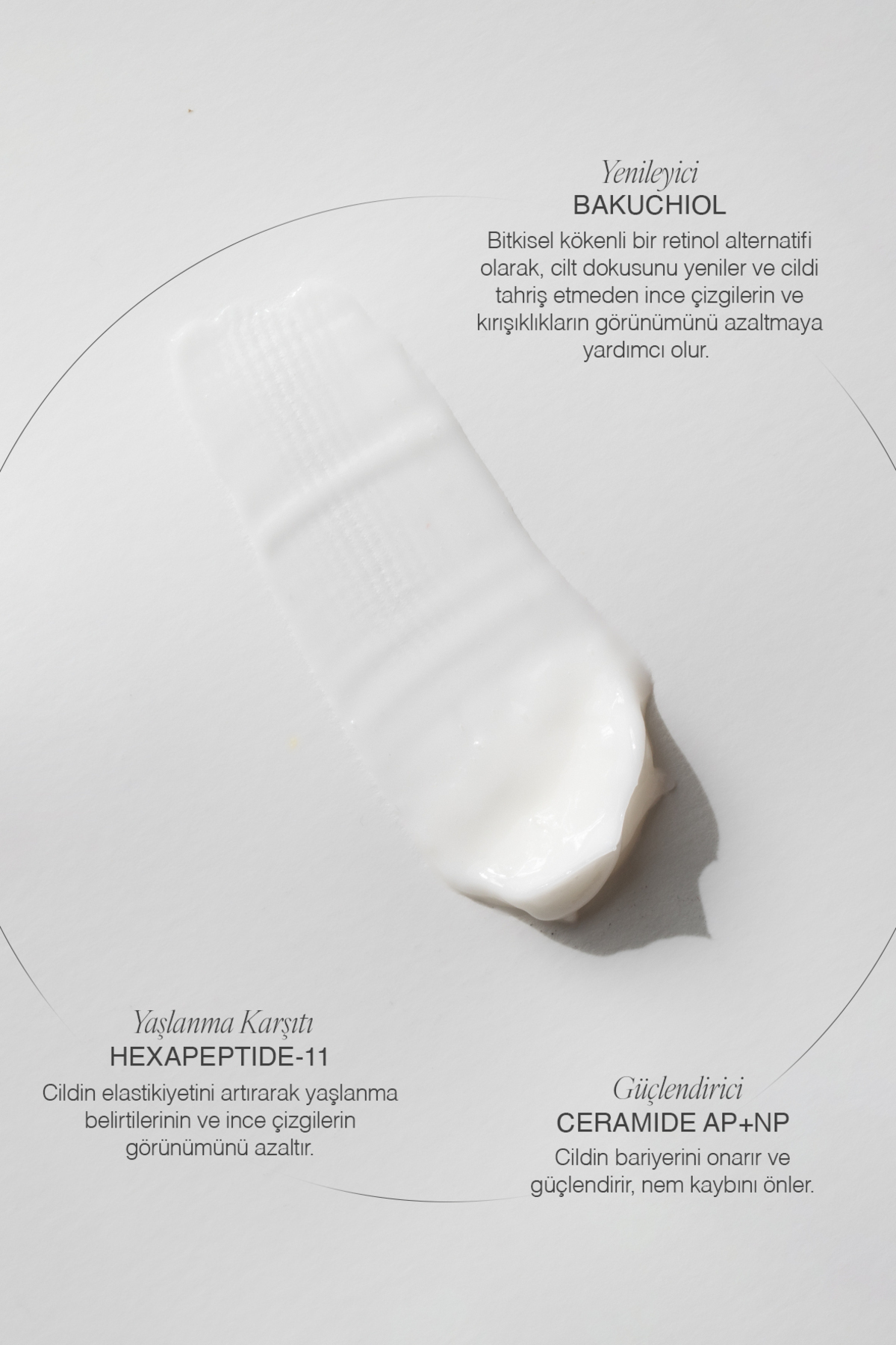 The Skin Edition Organik Sertifikalı Yaşlanma Karşıtı, Bariyer Onarıcı Yüz Kremi 50 ml | Bakuchiol, Peptid, Ceramide - Görsel 3