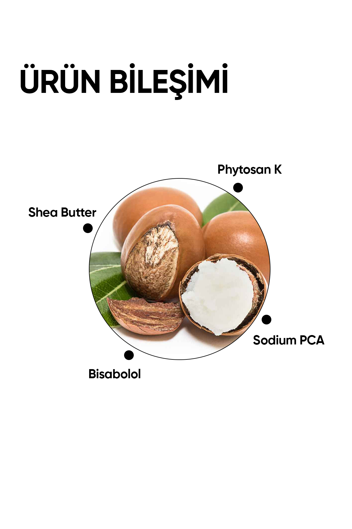 mineaderm Nemlendirici Bakım Kremi - Renewal Intense Moisturizer Spf 20 50 Ml 8680525350846 - Görsel 3