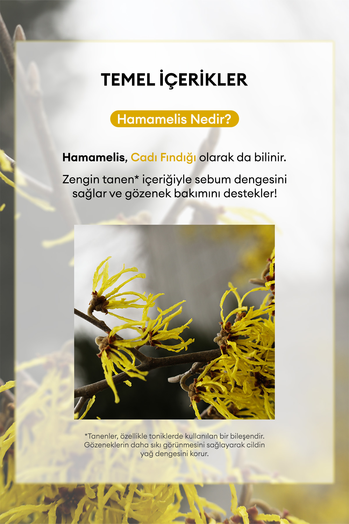 Missha Hamamelis Özlü Yağlanma Ve Gözenek Karşıtı Bakım Sunan Yaprak Maske A'pıeu Hamamelis Sheet Mask - Görsel 3